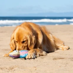 Freeze and Chill Cooling Pal Rainbow Crocodile Dog Toy