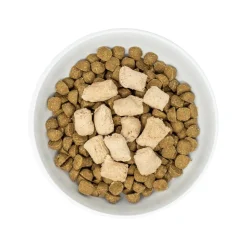 Freeze-Dried Dandy Lamb Meal Mixers Dog Food