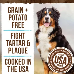 Fresh Kisses Double-Brush Real Mint Large Breed Dog Treats