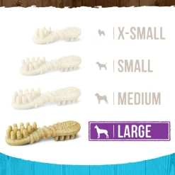 Fresh Kisses Double-Brush Real Mint Large Breed Dog Treats