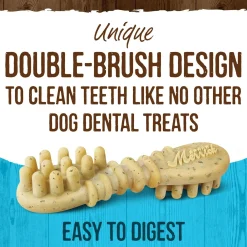 Fresh Kisses Double-Brush Real Mint Medium Breed Dog Treats