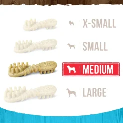 Fresh Kisses Double-Brush Real Mint Medium Breed Dog Treats