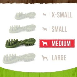 Fresh Kisses Double-Brush Coconut & Botanical Oils Medium Breed Dog Treats