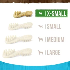 Fresh Kisses Double-Brush Real Mint X-Small Breed Dog Treats