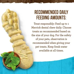 Fresh Kisses Double-Brush Real Mint X-Small Breed Dog Treats