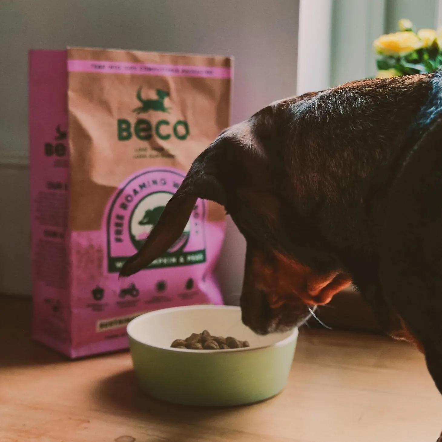 Fresh Mint Printed Feeding & Water Bowl