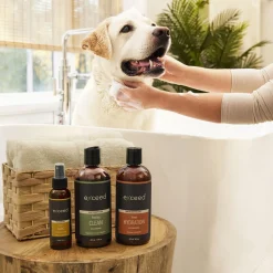 Freshly Clean Dog Shampoo