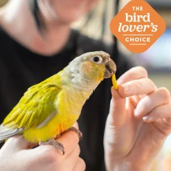 FruitBlend Flavour Large Bird Food