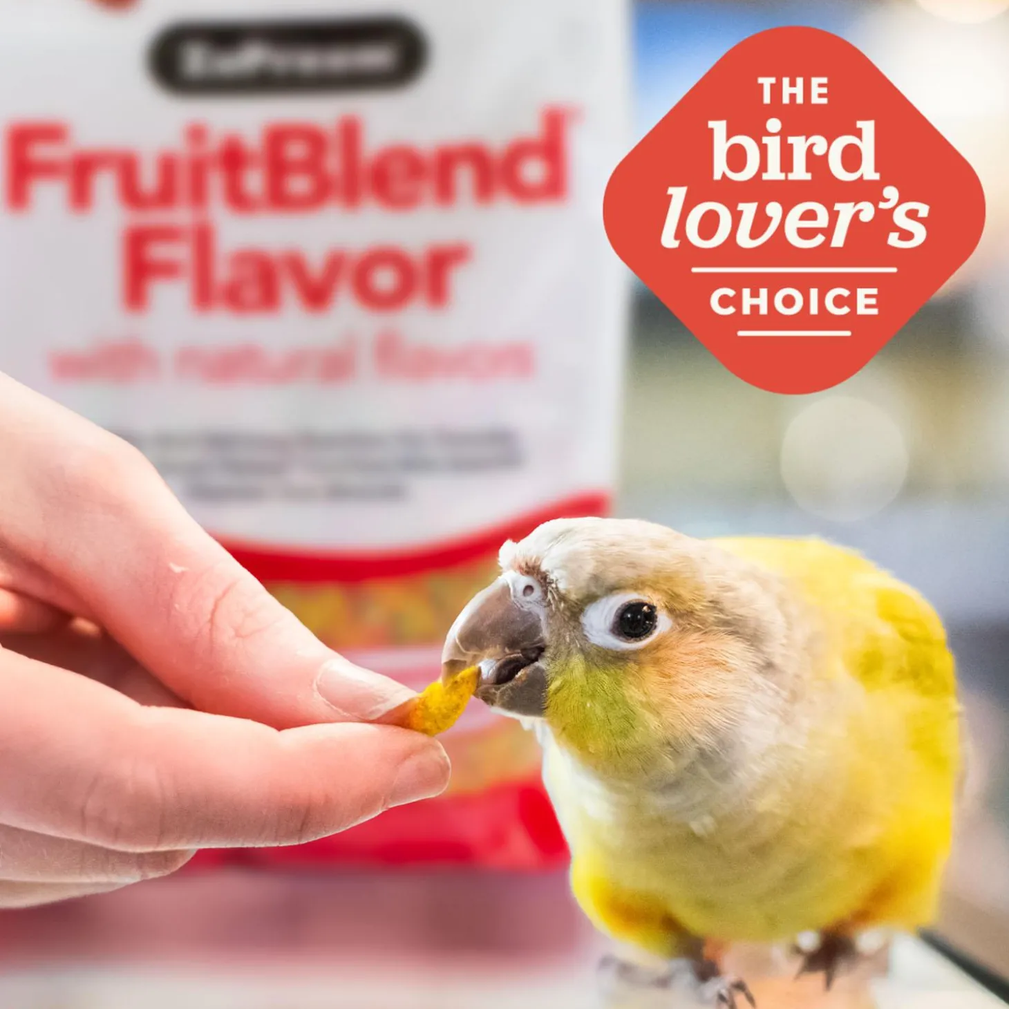FruitBlend Flavour Parrots & Conures Food