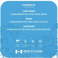 Functional Fungi Anxiety & Allergy Support Blueberry Dog Treats