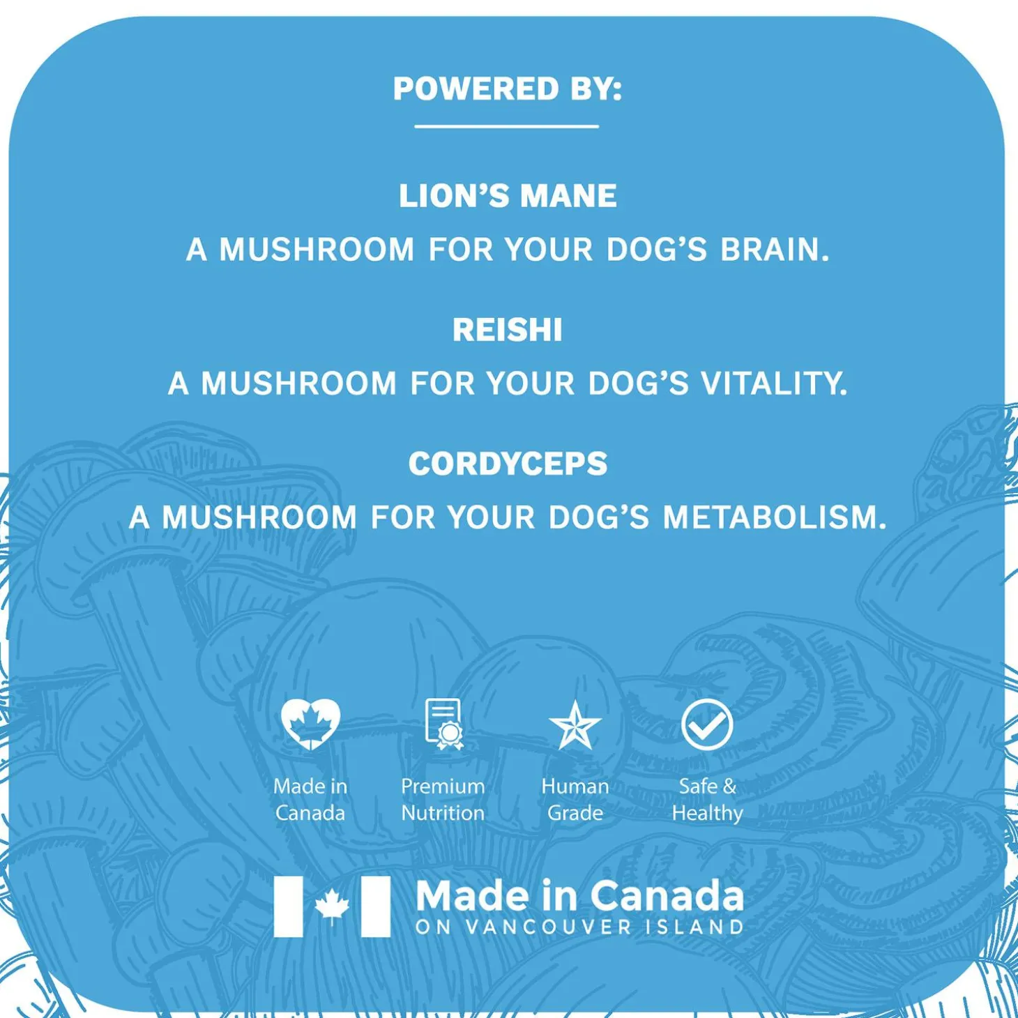 Functional Fungi Anxiety & Allergy Support Blueberry Dog Treats