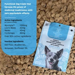 Functional Fungi Anxiety & Allergy Support Blueberry Dog Treats