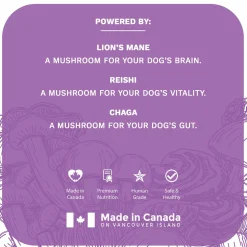 Functional Fungi Brain Function & Senior Support Peanut Butter Dog Treats