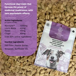 Functional Fungi Brain Function & Senior Support Peanut Butter Dog Treats