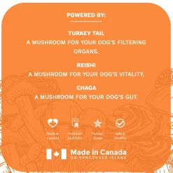 Functional Fungi Digestion & Immune Support Pumpkin Dog Treats