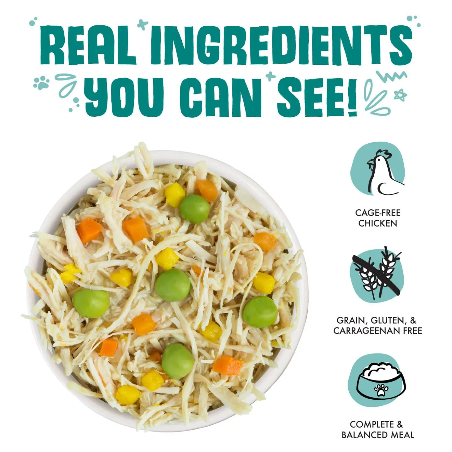 Funky Chunky Chicken Soup with Pumpkin Adult Cat Food