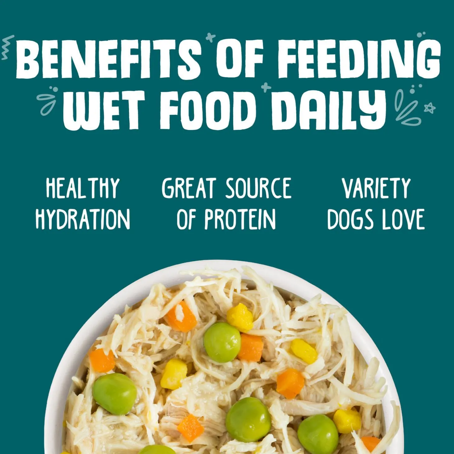 Funky Chunky Chicken Soup with Pumpkin Dog Food