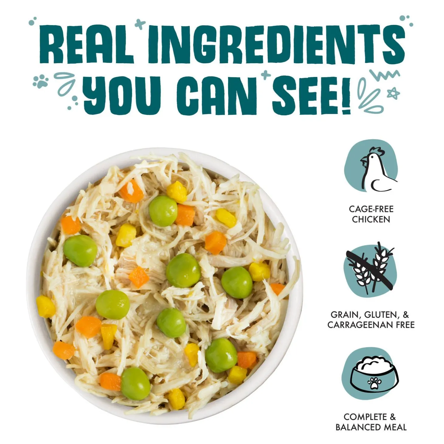 Funky Chunky Chicken Soup with Pumpkin Dog Food