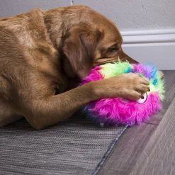 Furballz Rainbow Dog Toy