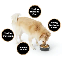 Gently Cooked Bison & Beef Bowl Adult Dog Food