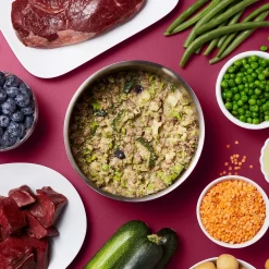 Gently Cooked Bison & Beef Bowl Adult Dog Food