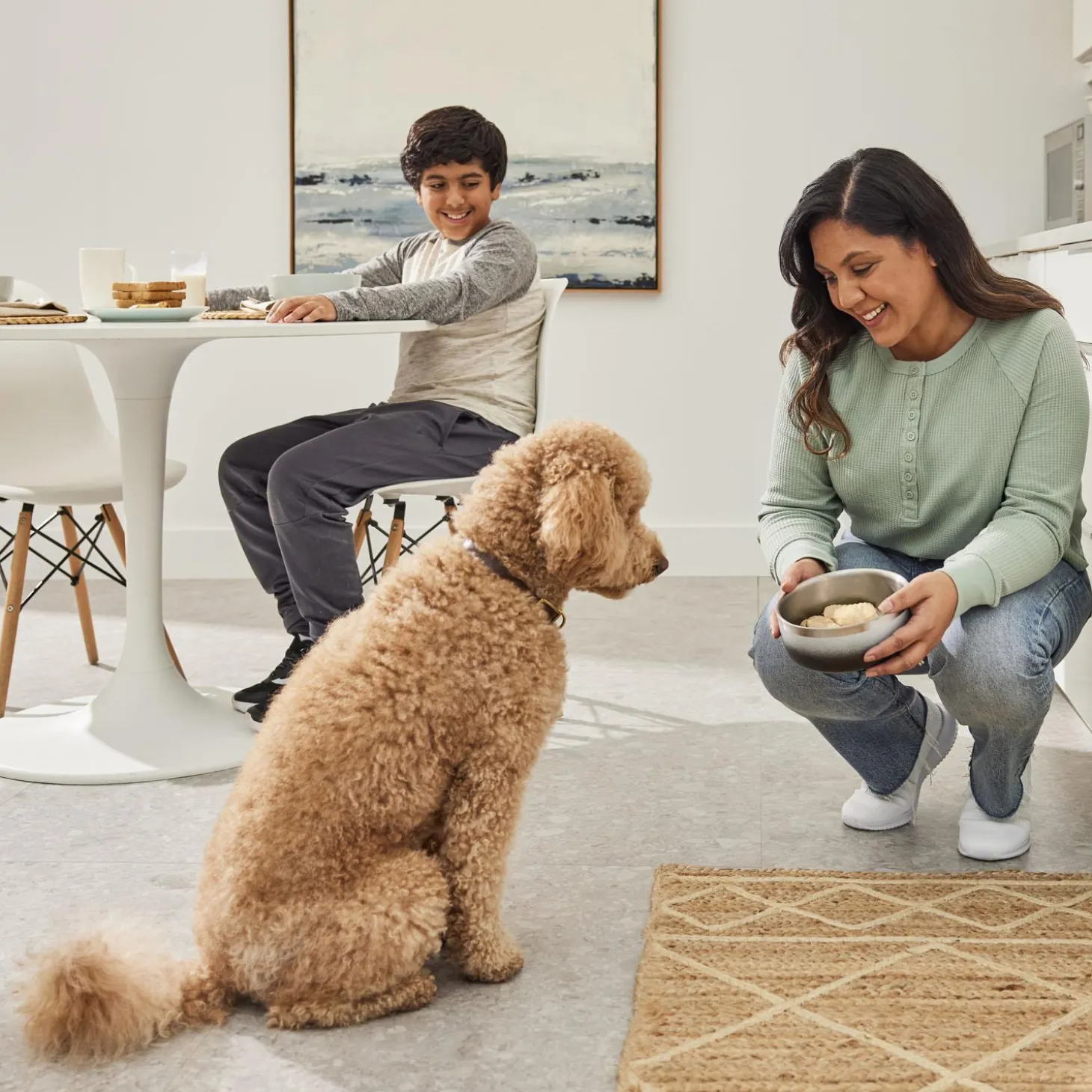 Gently Cooked Boneless Chicken Wings Dog Treats
