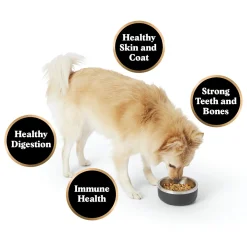 Gently Cooked Chicken Stew Adult Dog Food