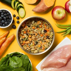 Gently Cooked Chicken Stew Adult Dog Food