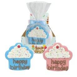 Giant Birthday Cupcake