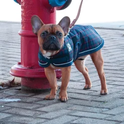 Glacier Navy Plaid Coat