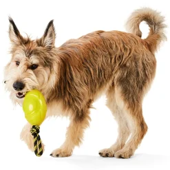 Glow Ball with Rope Dog Toy