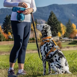 Go Stuff It Blue Treat Bag
