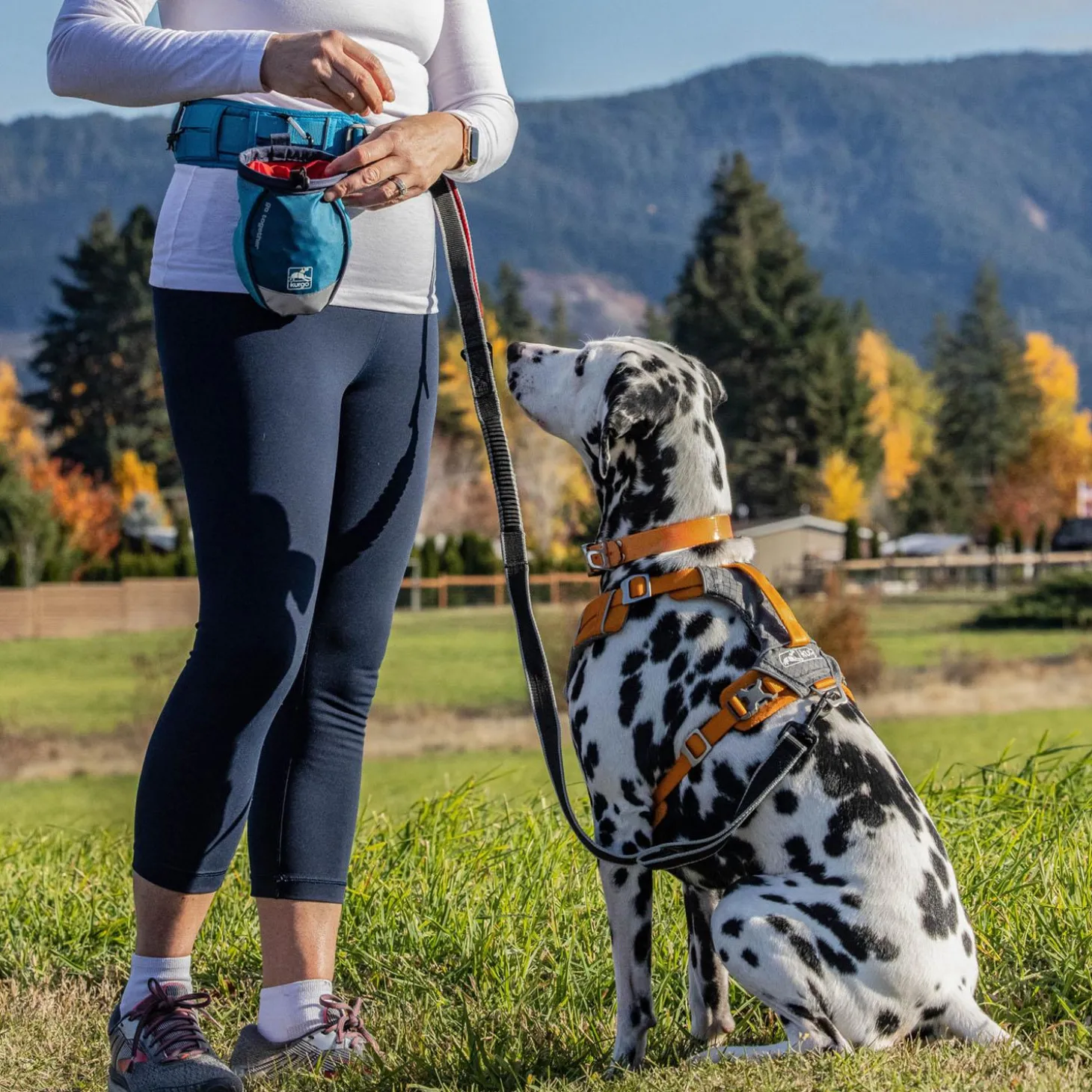 Go Stuff It Blue Treat Bag