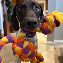 Goat Braided Soft Tug Dog Toy