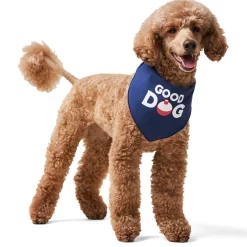 Good Dog Bandana