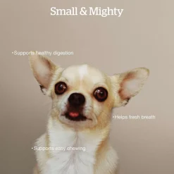 Good Gravy Salmon Coated in Bone Broth Small Breed Adult Dog Food