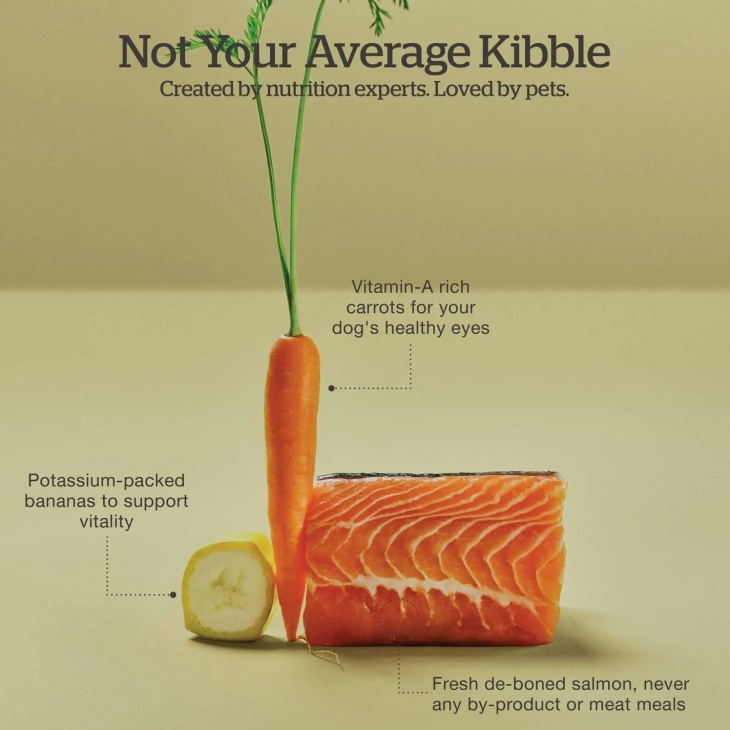 Good Gravy Salmon Coated in Bone Broth Small Breed Adult Dog Food