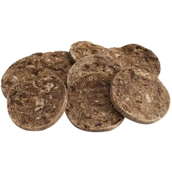 Gourmet Crunchy Lamb Biscuit Dog Treat