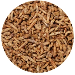 Gourmet Insect Toppers Small Animal Treats