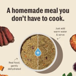 Grain Free Chicken Recipe Dog Food