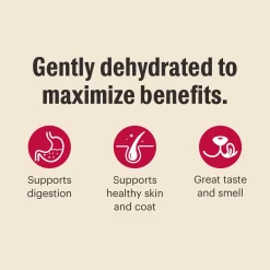 Grain Free Chicken Recipe Dog Food