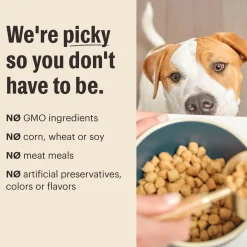 Grain Free Clusters Chicken Recipe Dog Food