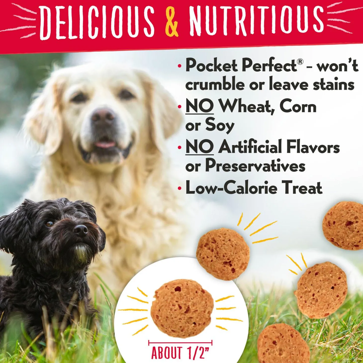 Grain Free Crunch Bacon & Blueberry Flavour Dog Treats