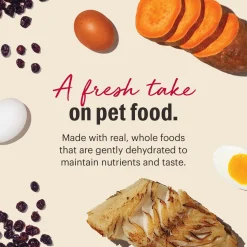 Grain Free Fish Recipe Adult Dog Food