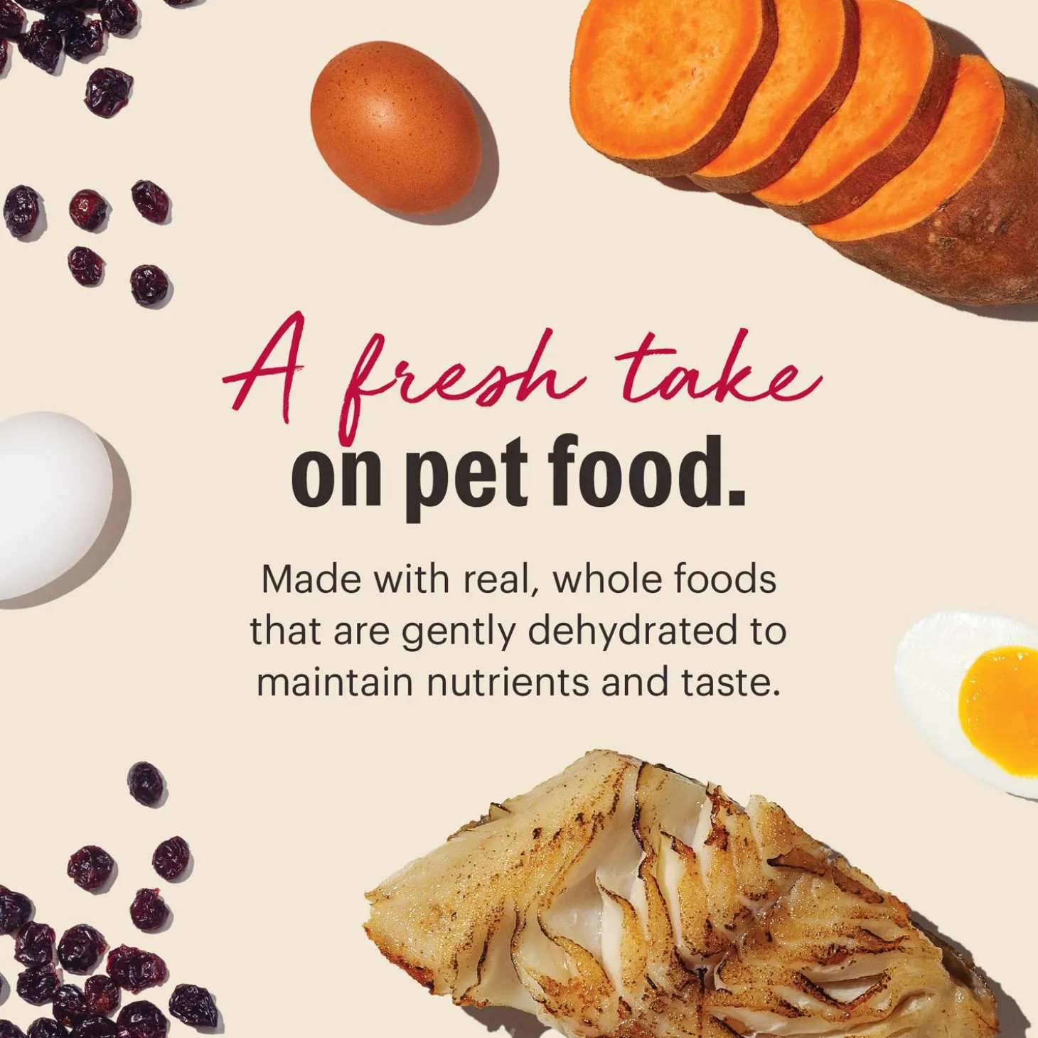 Grain Free Fish Recipe Adult Dog Food