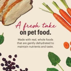 Grain Free Turkey Recipe Dog Food