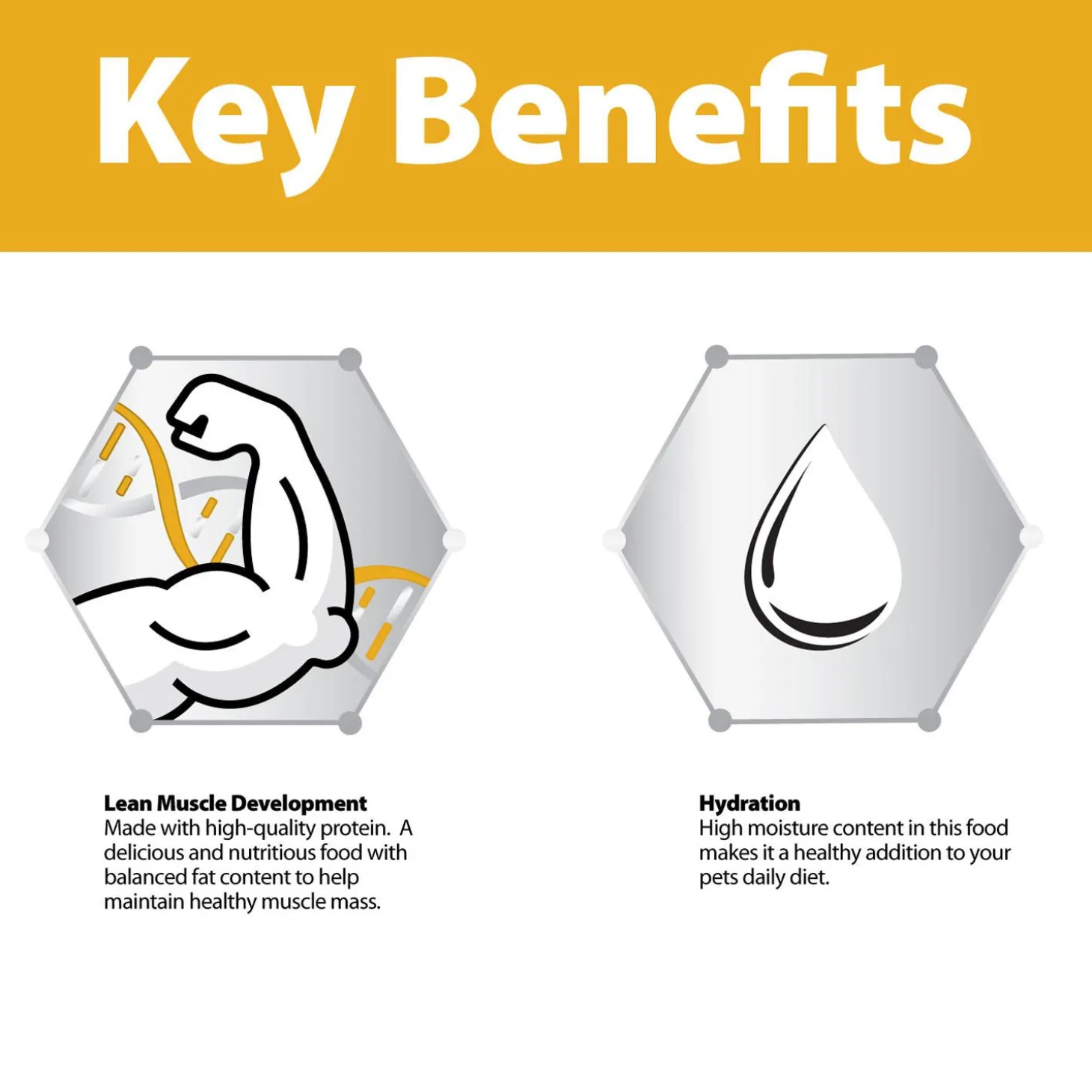 Grain-Free Chicken Formula Pate Kitten Cat Food