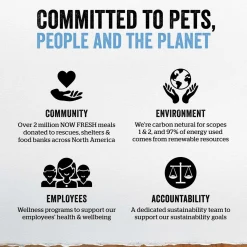 Grain-Free Chicken Pate Cat Food