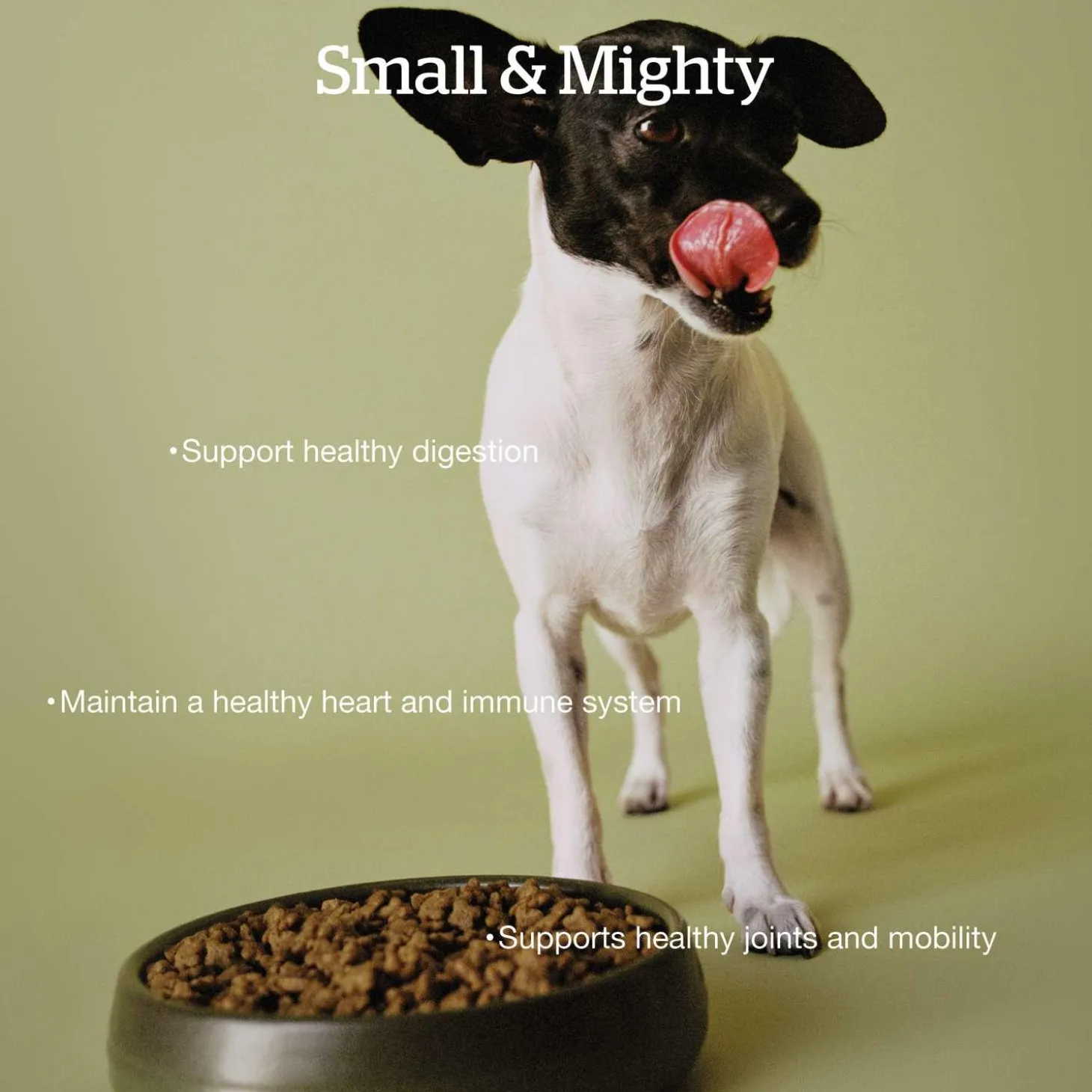 Grain-Free Turkey, Salmon & Duck Recipe Small Breed Senior Dog Food