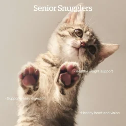 Grain-Free Turkey, Salmon & Duck Recipe Senior Cat Food